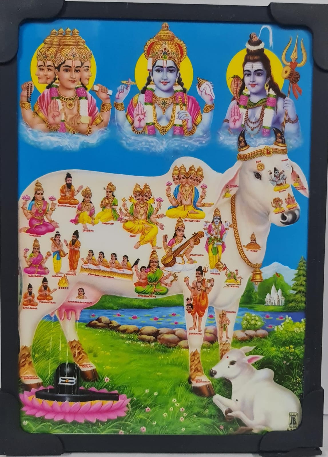 KAMADENU