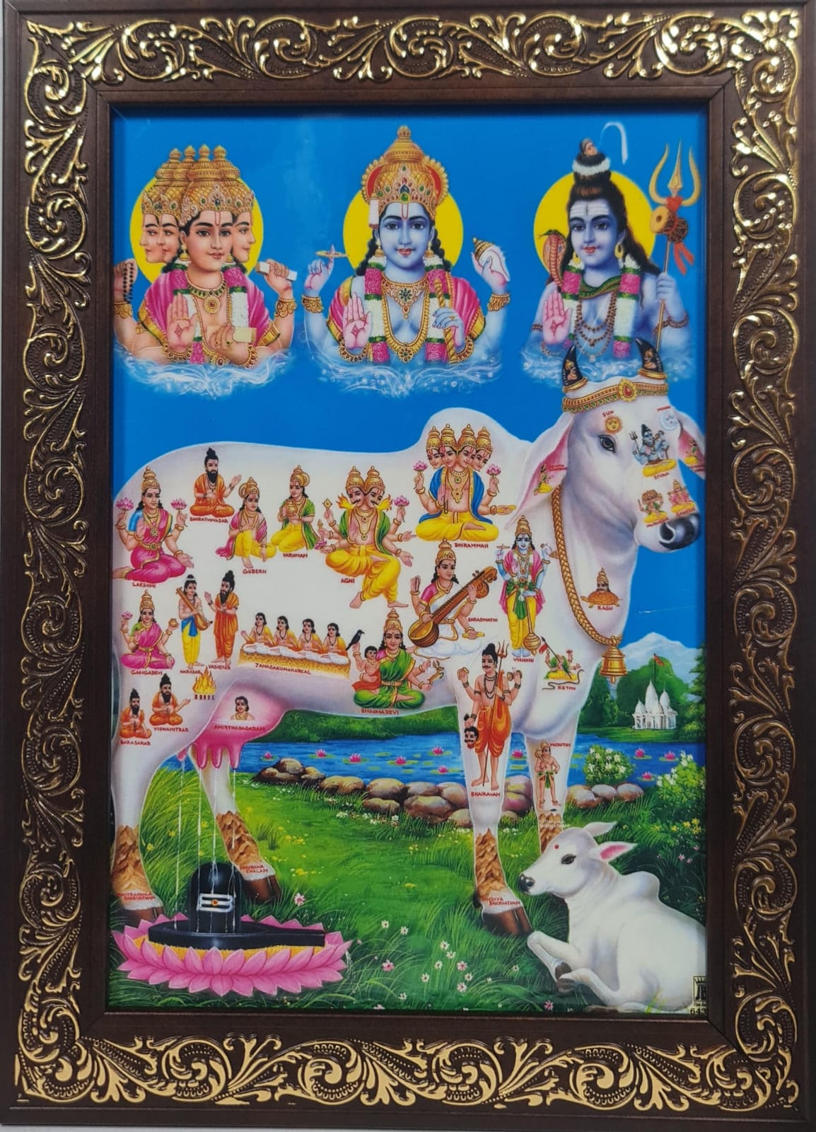 KAMADENU